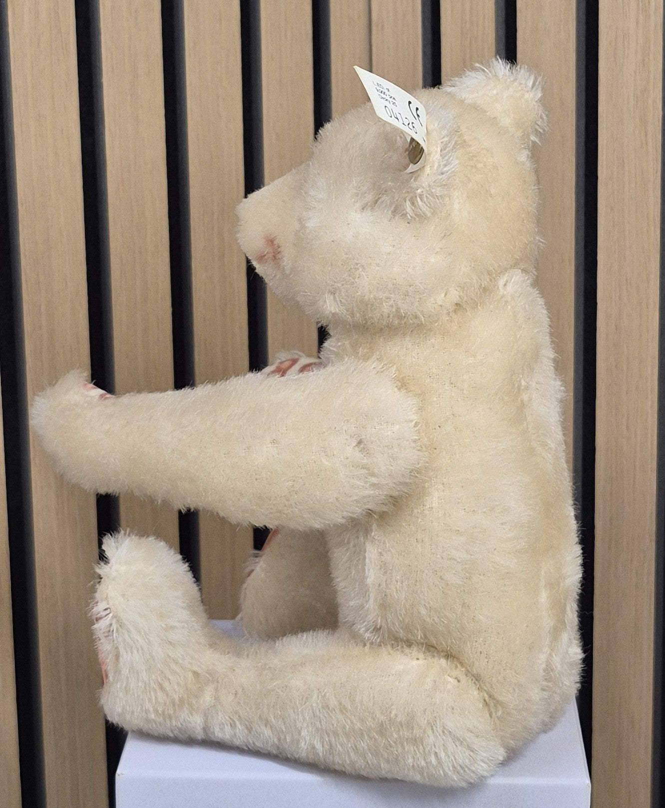 Steiff Dicky Bär Replika - weiß - 25cm - (407550) - Neuwertig - (B1)