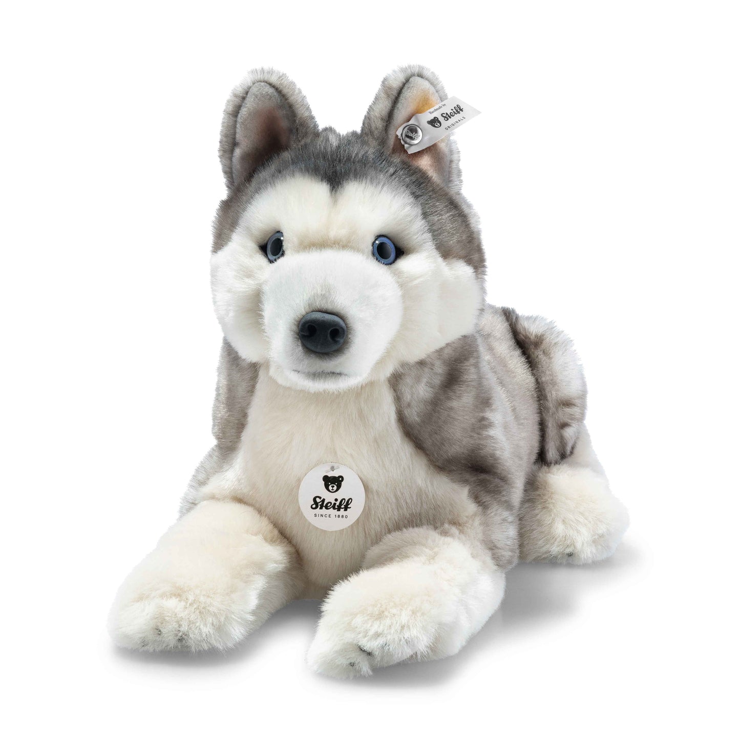 Steiff Bernie Husky - 33cm - NEU (067891)