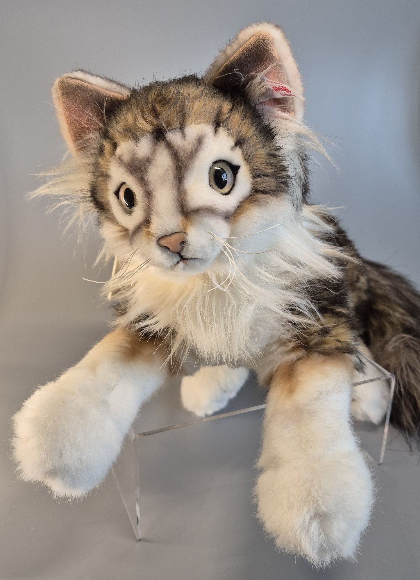 Steiff Katze Lesley Anne Ivory's Agneatha - 40cm - limitiert (690716) ARCHIV