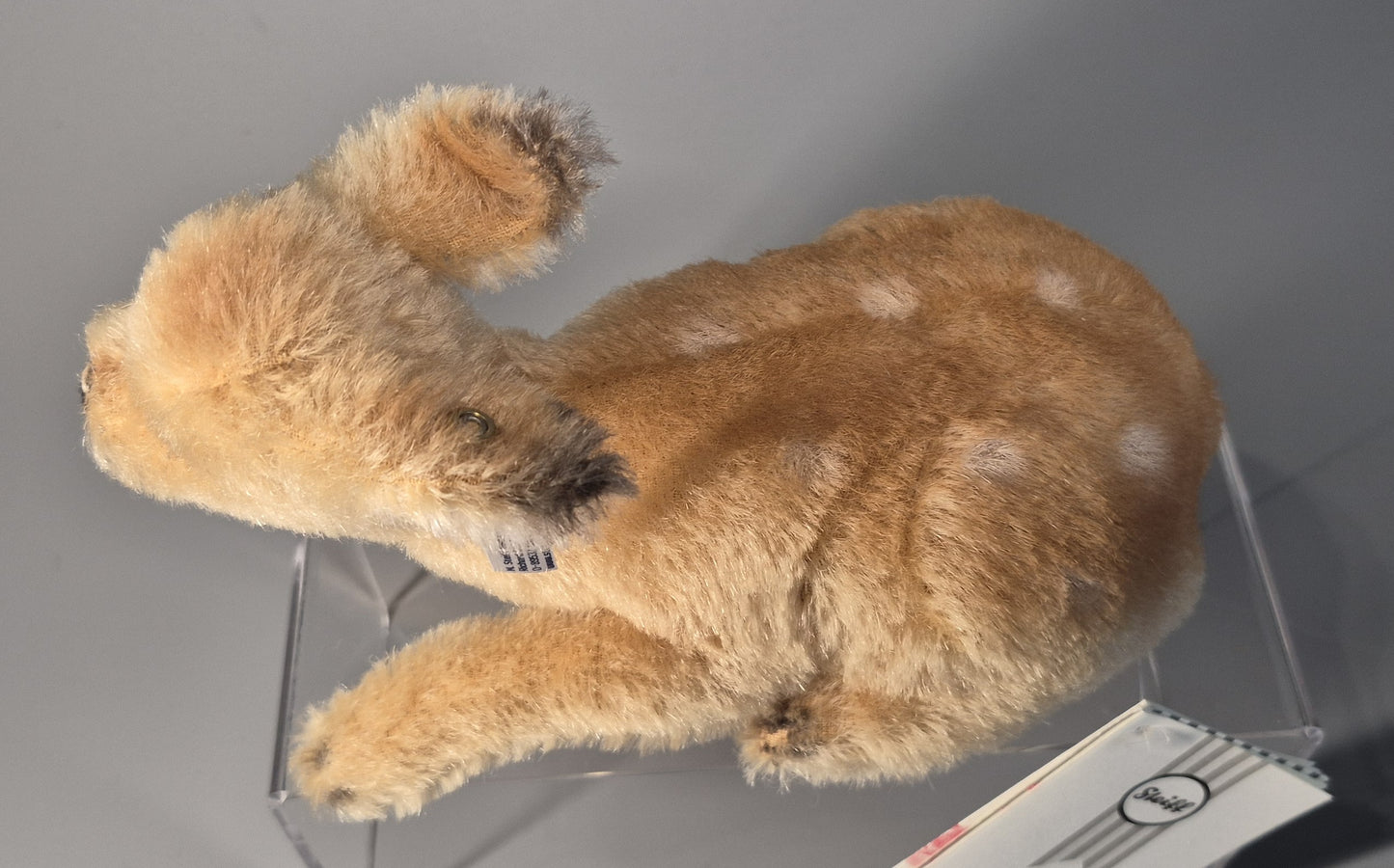 Steiff Remi Rehkitz - 18cm - NEU (068942)
