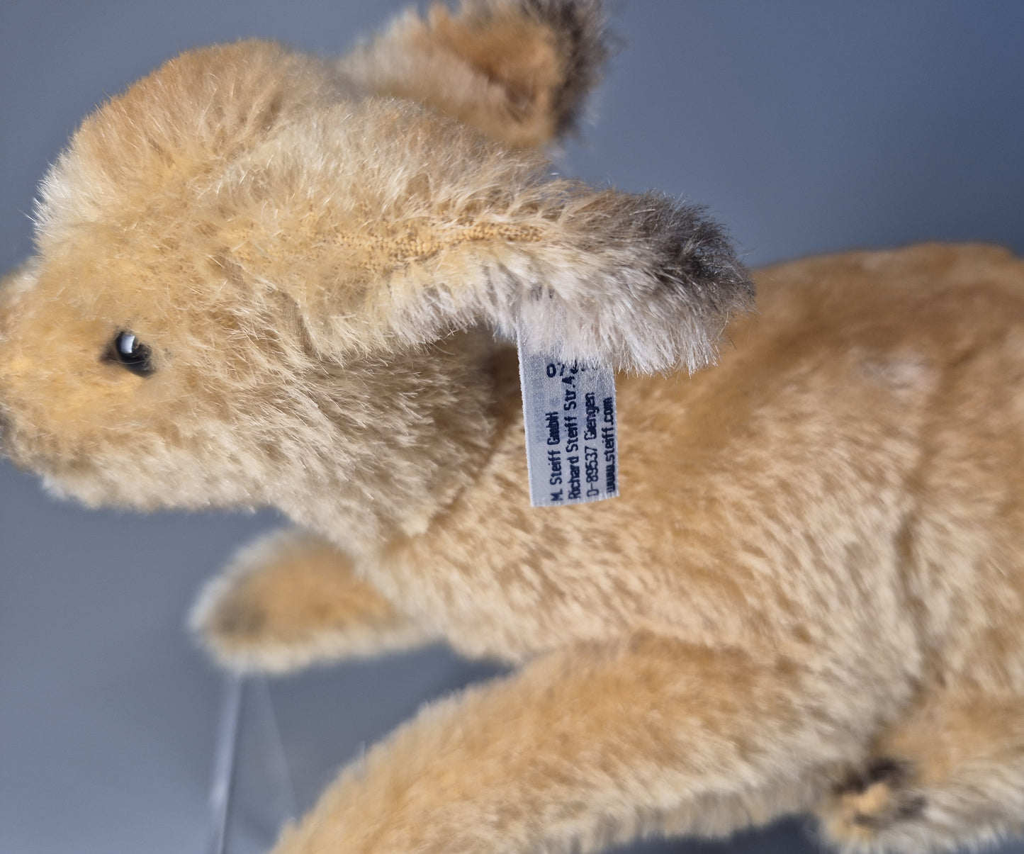 Steiff Remi Rehkitz - 18cm - NEU (068942)