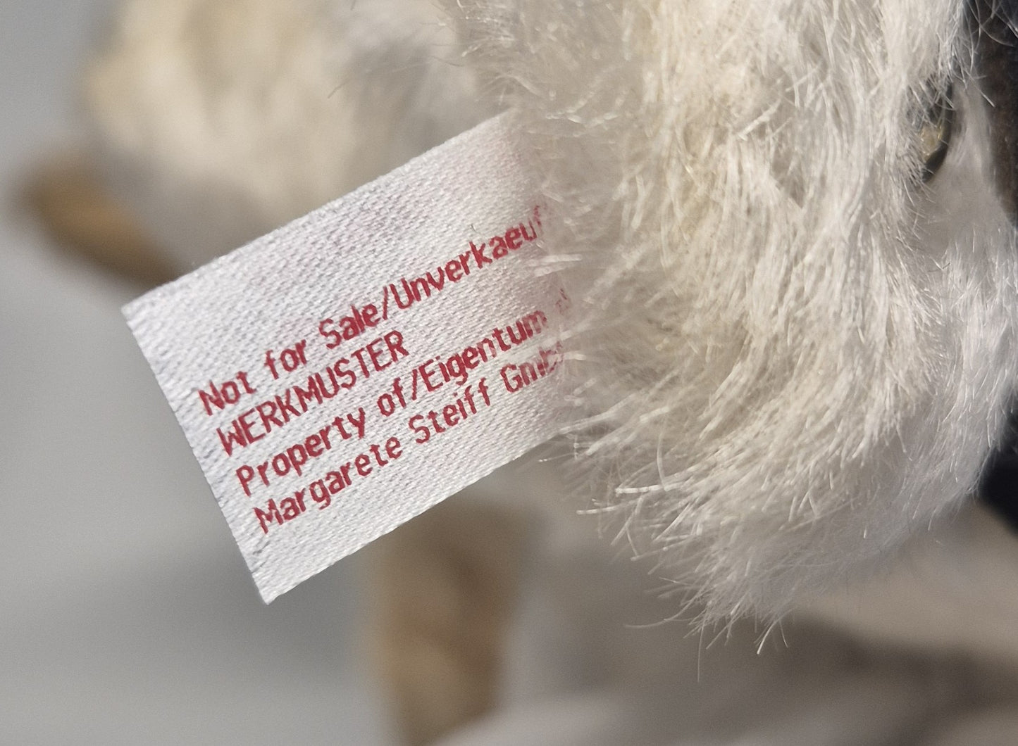 Steiff Designer's Choice Pablo Teddybär - WERKMUSTER -  2019 (006975)