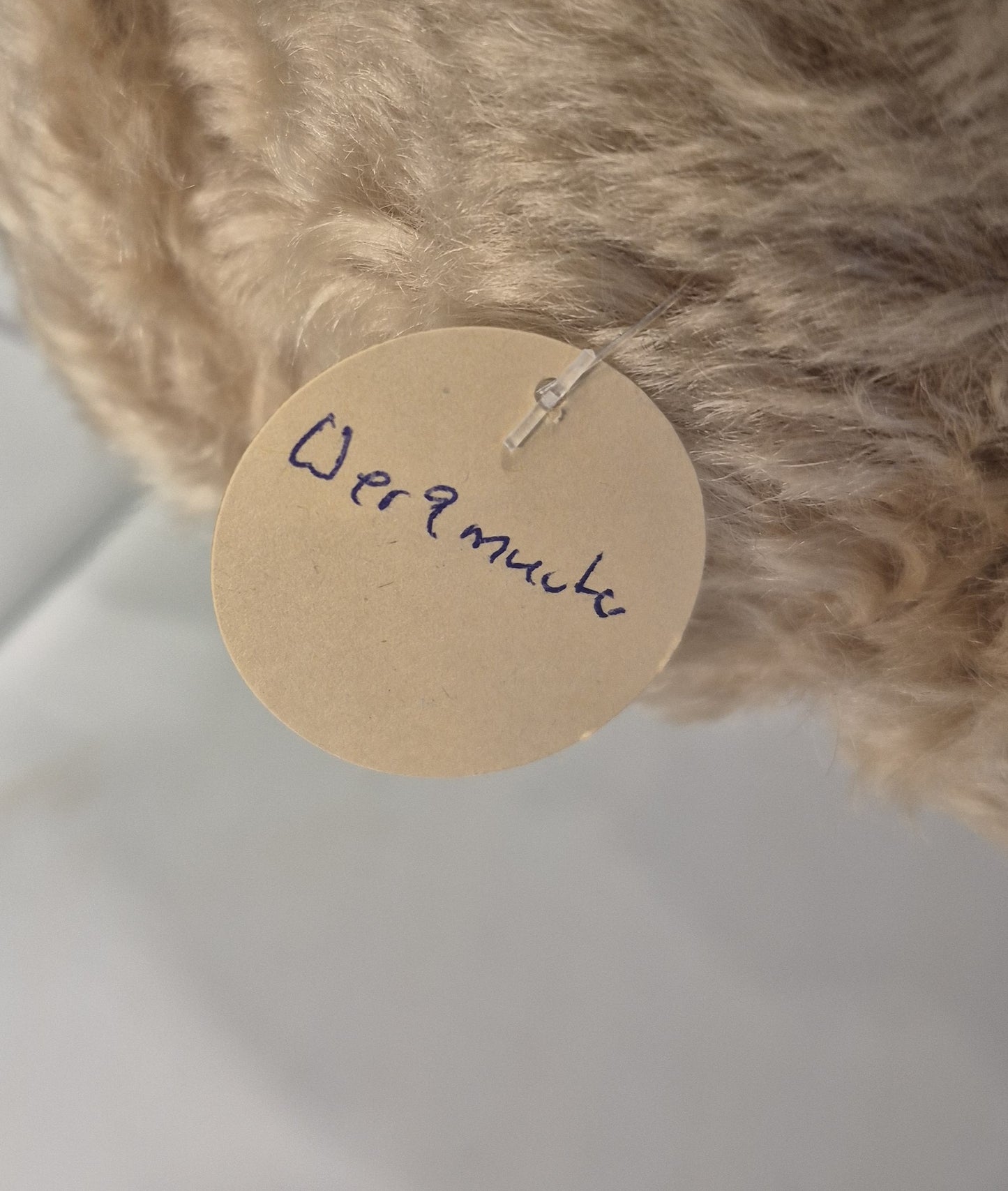 Steiff Designer's Choice Pablo Teddybär - WERKMUSTER -  2019 (006975)